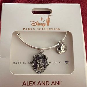 From Walt Disney World an Alex and Ani bracelet